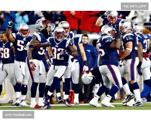 爱国者队十一胜二负领跑美联东区 成首支十胜球队